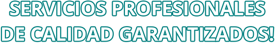 SERVICIOS PROFESIONALES DE CALIDAD GARANTIZADOS!